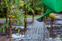 Ausflug zum "Bio-Michi"
